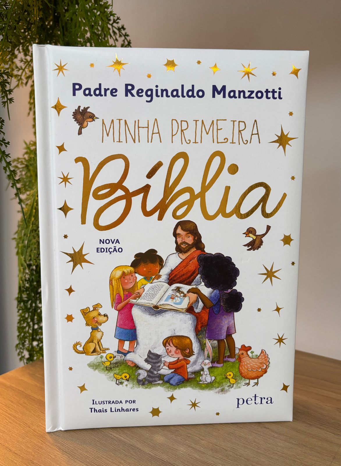 Bíblia Infantil